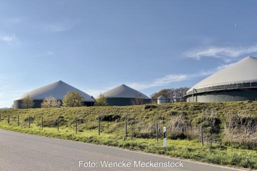 Auf dem Bild ist eine Biogasanlage hinter einem grünen Wall zu sehen und einer Straße im Vordergrund.