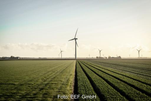 Rechts und links verschiedene grüne Ackerflächen mit einem Windpark im Hintergrund.