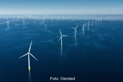 Luftbild eines Offshore-Windparks
