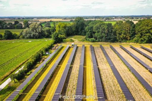 Eine Agri-PV-Anlage: zwischen den Modulreihen fährt eine Erntemaschine.