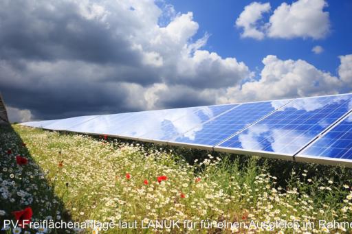 In der Mitte eine lange Reihe mit PV-Modulen in einer PV-Freiflächenanlage. Davor bunte Blumen. Laut LANUK wäre dies für einen Ausgleich im Rahmen der Eingriffsregelung nicht ausreichend.