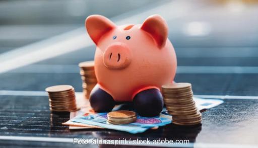 Ein Sparschwein auf Photovoltaik-Anlage, die Hamburg Commercial Bank finanziert den Solarfonds NEIII.