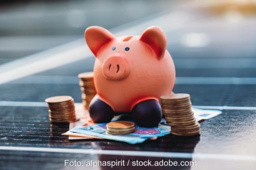 Ein Sparschwein steht auf Geldscheinen, die auf einem PV-Modul liegen - Symbolbild für Finanzierung von Photovoltaikanlagen