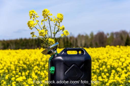 Kanister mit Rapsblüten vor Rapsfeld - Symbol für Biodiesel, Biokraftstoffe, Bioenergie, Biokraftstoff