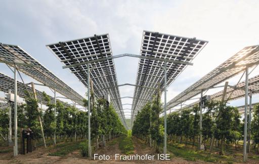 Agri-PV-Anlage hoch aufgeständert, wie sie ab dem EEG 2023 Bonusförderungen erhalten kann.