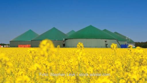 Eine Biogasanlage mit gelb blühendem Rapsfeld im Vordergrund, die Bundesnetzagentur hat die Höchstwerte 2026 für Ausschreibungen von Biomasse- und Biomethananlagen festgelegt. Foto: Stephan Leyk / stock.adobe.com