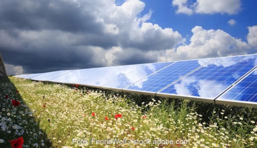 Solarmodule in Blumenwiese, in Köln soll ein innerstädtischer Solarpark in einem Industriegelände entstehen.