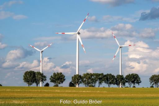 Drei Windenergieanlagen hinter einer Allee, die den Horizont bildet.