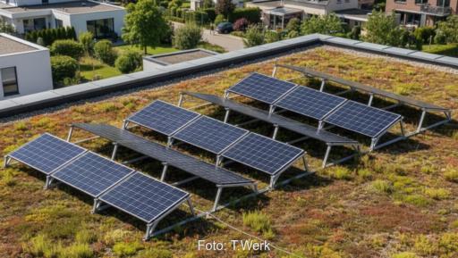 Das PV-Montagesystem Triton flora von T.Werk auf einem Gründach.