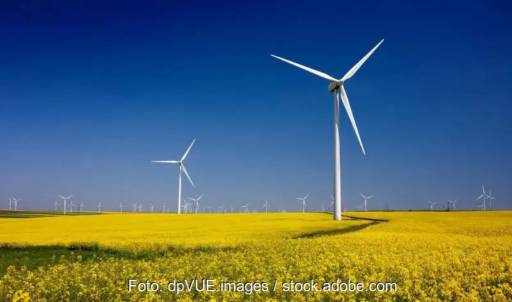 In Bild ein Windpark, die Windenergie-Branche ist mit der Geschäftsentwicklung in 2023 zufrieden.