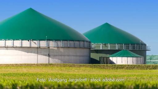 Hinter einen kurz gemähten, grünen Wiese liegt eine Biogasanlage mit zwei Fermentern vor einem blauen Himmel.