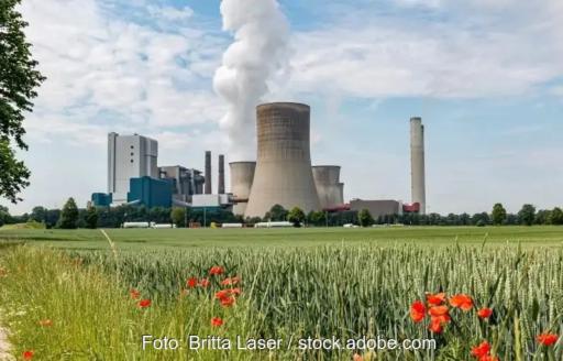Großes Kohlekraftwerk mit mehreren Kühltürmen und Schornsteinen hinter einem Getreidefeld mit roten Mohnblumen. Aus einem Kühlturm steigt eine weiße Dampfwolke auf.