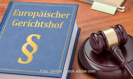 Im Bild ein blaues Buch mit Paragraphenzeichen und der Aufschrift Europäischer Gerichtshof, daneben ein hölzerner Richterhammer, beides liegt auf einer Tischplatte.
