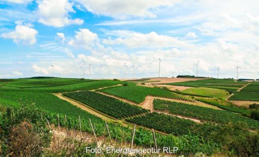 Hügelige Landschaft mit Weinbau und Windenergie.