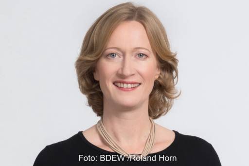Kerstin Andreae, Vorsitzende der Hauptgeschäftsführung des BDEW, plädiert für einen Resilienzbonus für PV.