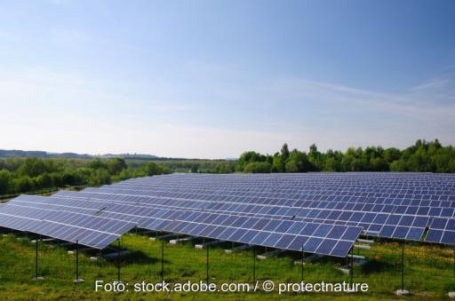 Eine PV-Freiflächenanlagen auf grüner Wiese unter blauem Himmel, im Hintergrund Bäume.