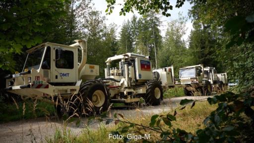 Drei helle Vibro-Trucks von DMT stehen hintereinander auf einem schmalen Weg in einem Waldstück.