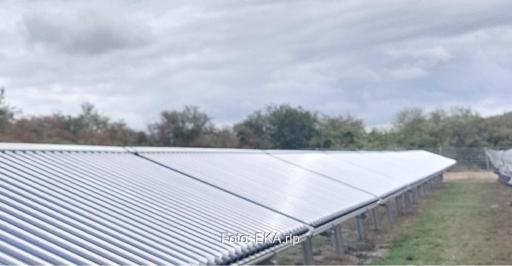 Eine Reihe von Vakuumröhrenkollektoren auf der grünen Wiese, die Solarthermie-Freiflächenanlage versorgt die Nahwärme in Waldalgesheim.