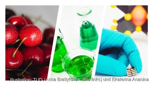 Eine Collage aus Kirschen, grüner Flüssigkeit und Solarzelle, Forscher:innen haben untersucht, welche umweltfreundlichen Lösungsmittel sich für die Produktion von Perowskit-Solarzellen eignen.