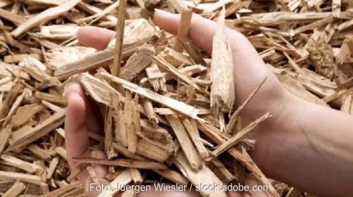 Zwei Hände greifen in Holzhackschnitzel - Holzenergie, Biomasse