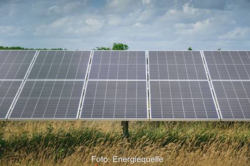 Photovoltaikmodule über einer landwirtschaftlich nutzbaren Fläche aus Gräsern.