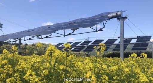 Im Bild eine Agri-PV-Anlage von REM Tec, einem der Gründungsmitglieder vom Bundesverband für nachhaltige Agri-PV
