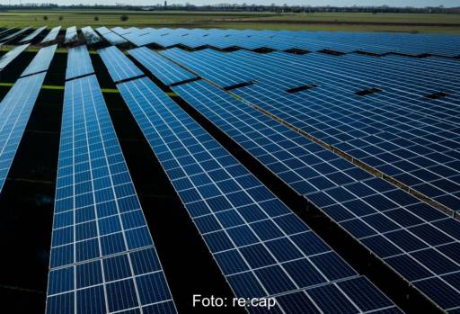 Ein Freiflächensolarpark auf grüner Wiese.