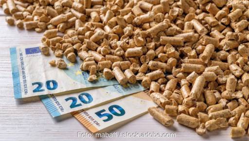 Im Bild Geldscheine und Pellets als Symbol für die Förderung für Holzkessel in Österreich.