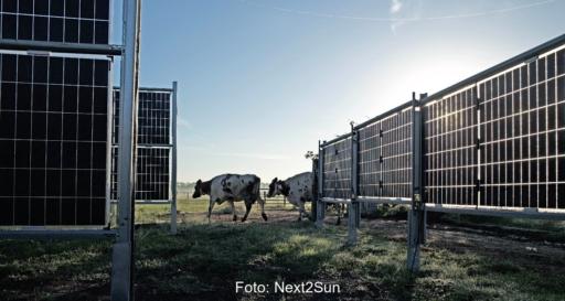 Der internationale Erneuerbare-Energien-Entwickler TEP Renewables Ltd. und die Next2Sun Mounting Systems GmbH aus Dillingen an der Saar kooperieren beim Ausbau von Agri-Photovoltaik in Großbritannien.