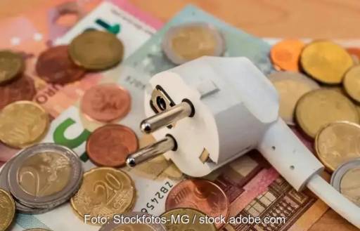 Ein Schuko-Stecker liegt auf einigen Geldscheinen und Münzen.