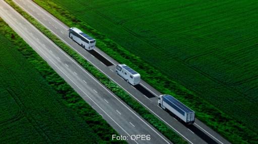 Im Bild drei E-Busse mit integrierten PV-Modulen von OPES Solar Mobility.