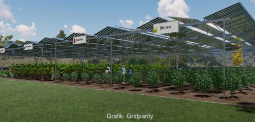 Im Bild eine Grafik, die eine Agri-PV Anlage von Gridparity zeigt.