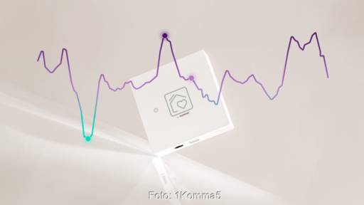 Grafik zeigt Strompreiskurve und ein Energiebanger-Gerät.