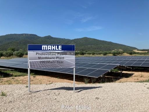PV-Anlage auf trockenem Grund hinter Firmenschild von Mahle.