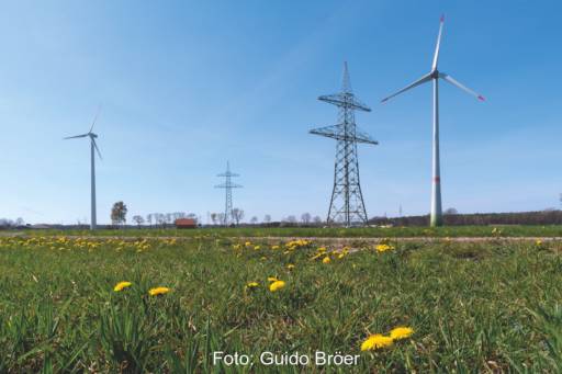 Zwei Elemente überragenden öffentlichen Interesses: Strommasten und Windräder auf einer Wiese mit Löwenzahn
