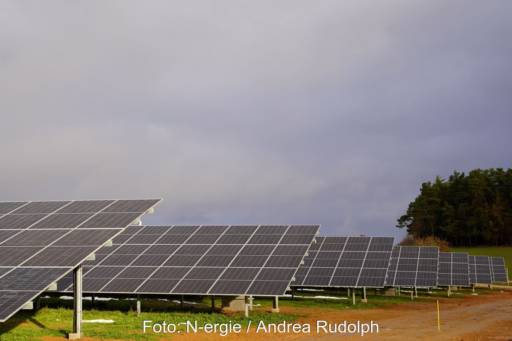 Freiflächenanlage auf grüner Wiese, am Rand mit Baumbestand.