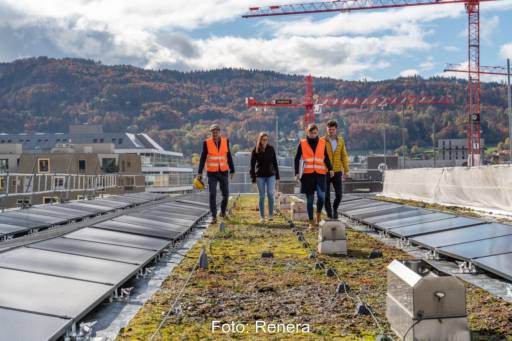 Photovoltaik-Anlage auf grünem Dach, zwischen den Modulreihen Menschen, im Hingergrund Hügel mit Wald